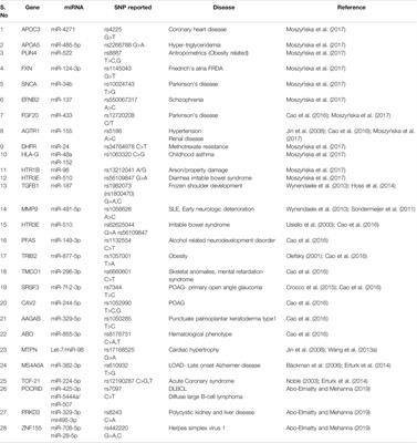 SNPs in miRNAs and Target Sequences: Role in Cancer and Diabetes